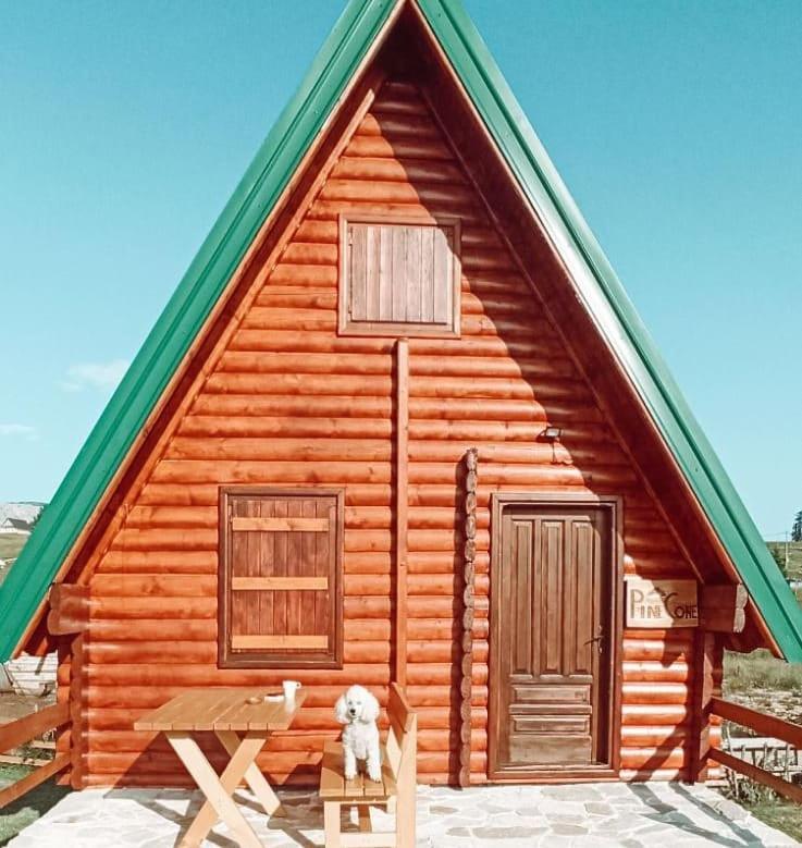 Pinecone Villa Žabljak Exterior foto